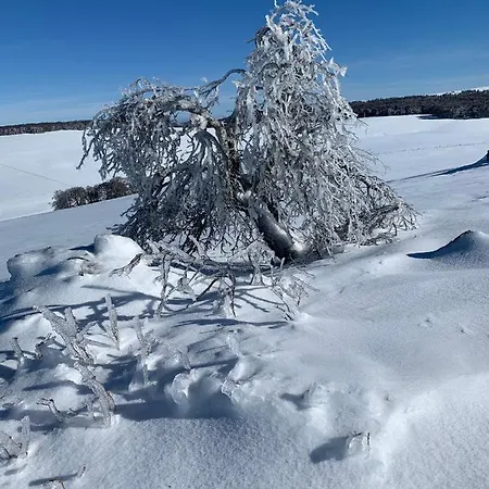 Gentiane Chalet Arpaulia Alpehytte